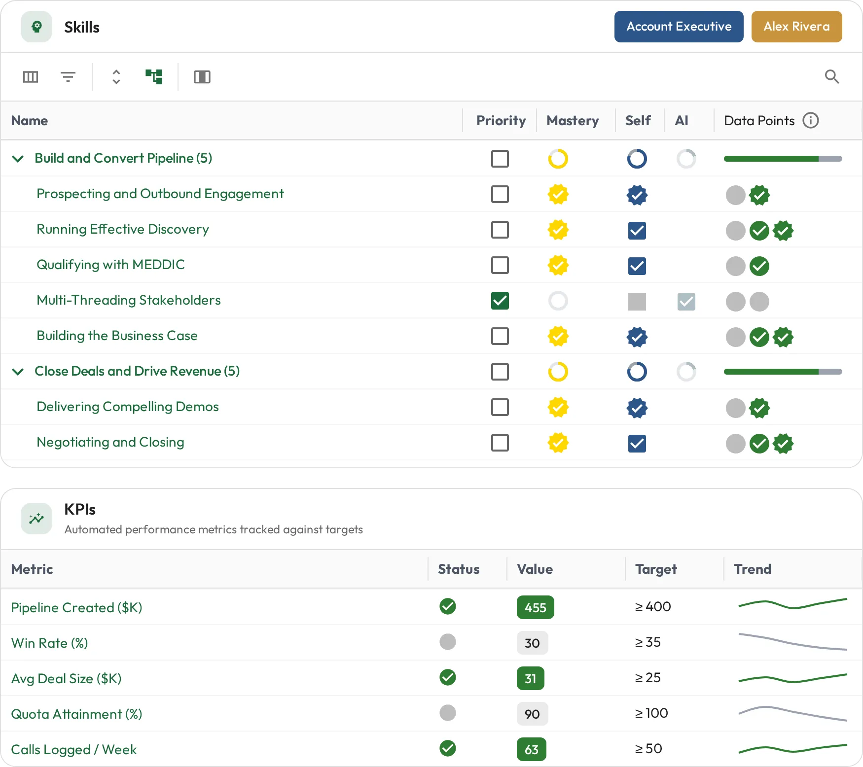 Account Executive skills with mastery levels and the role's KPIs shown below