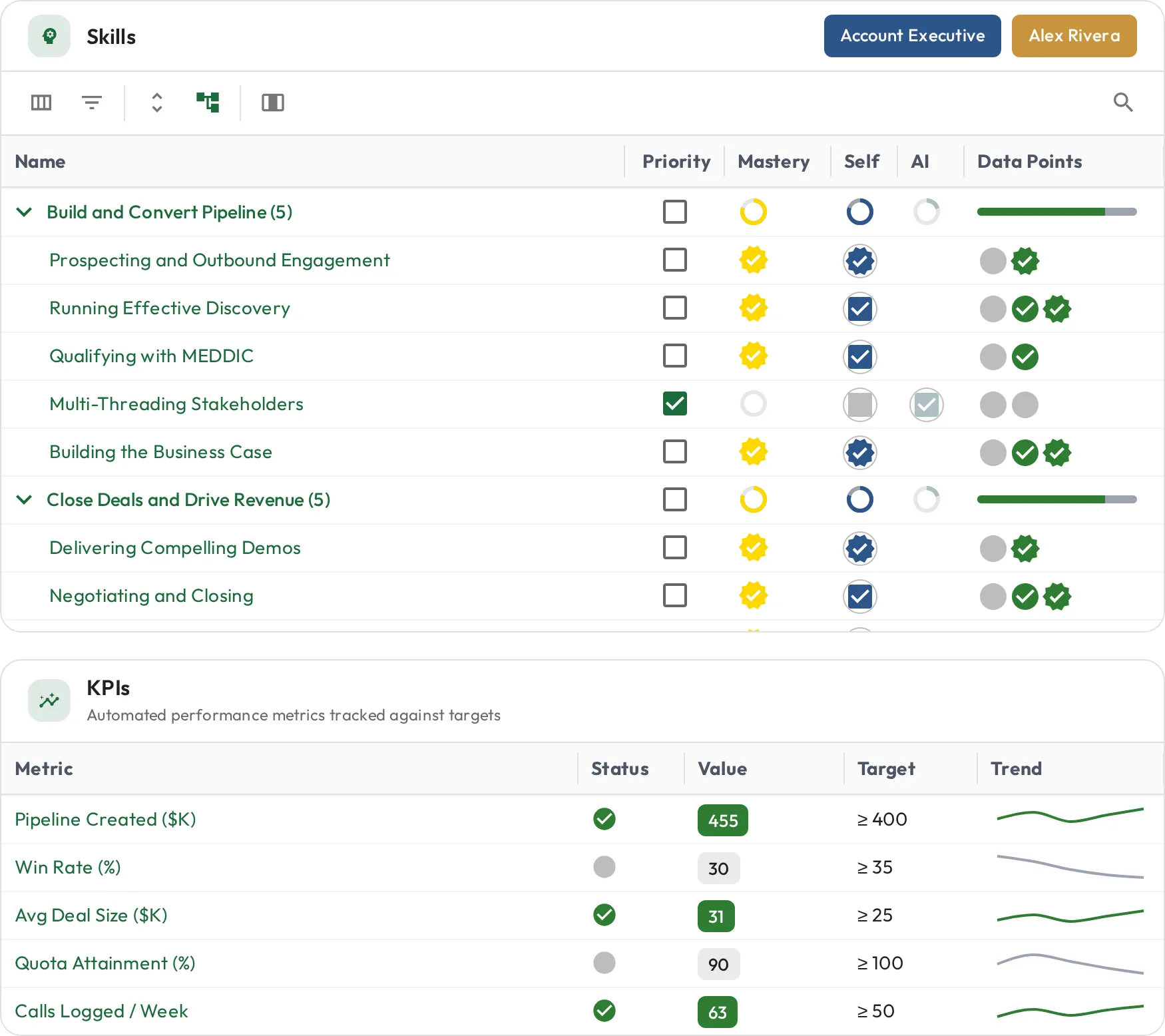 Account Executive skills with mastery levels and the role's KPIs shown below
